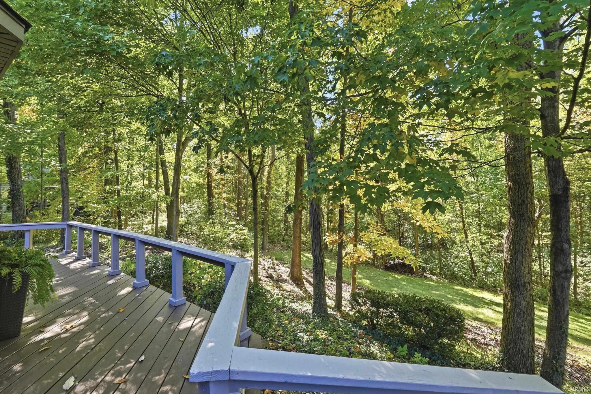 Image of 2808 Cliffwood Lane