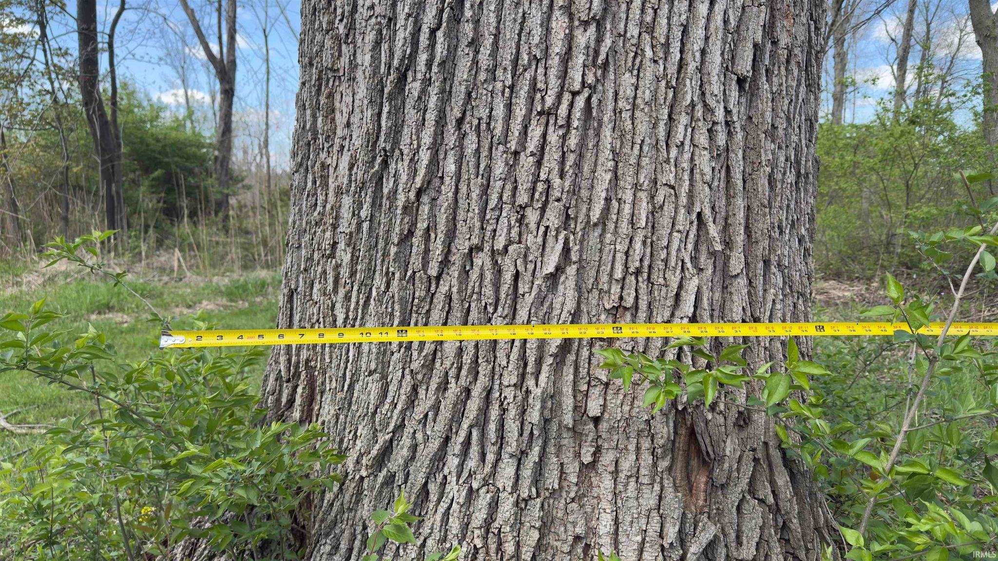 Image of 6848 N West County Line Road