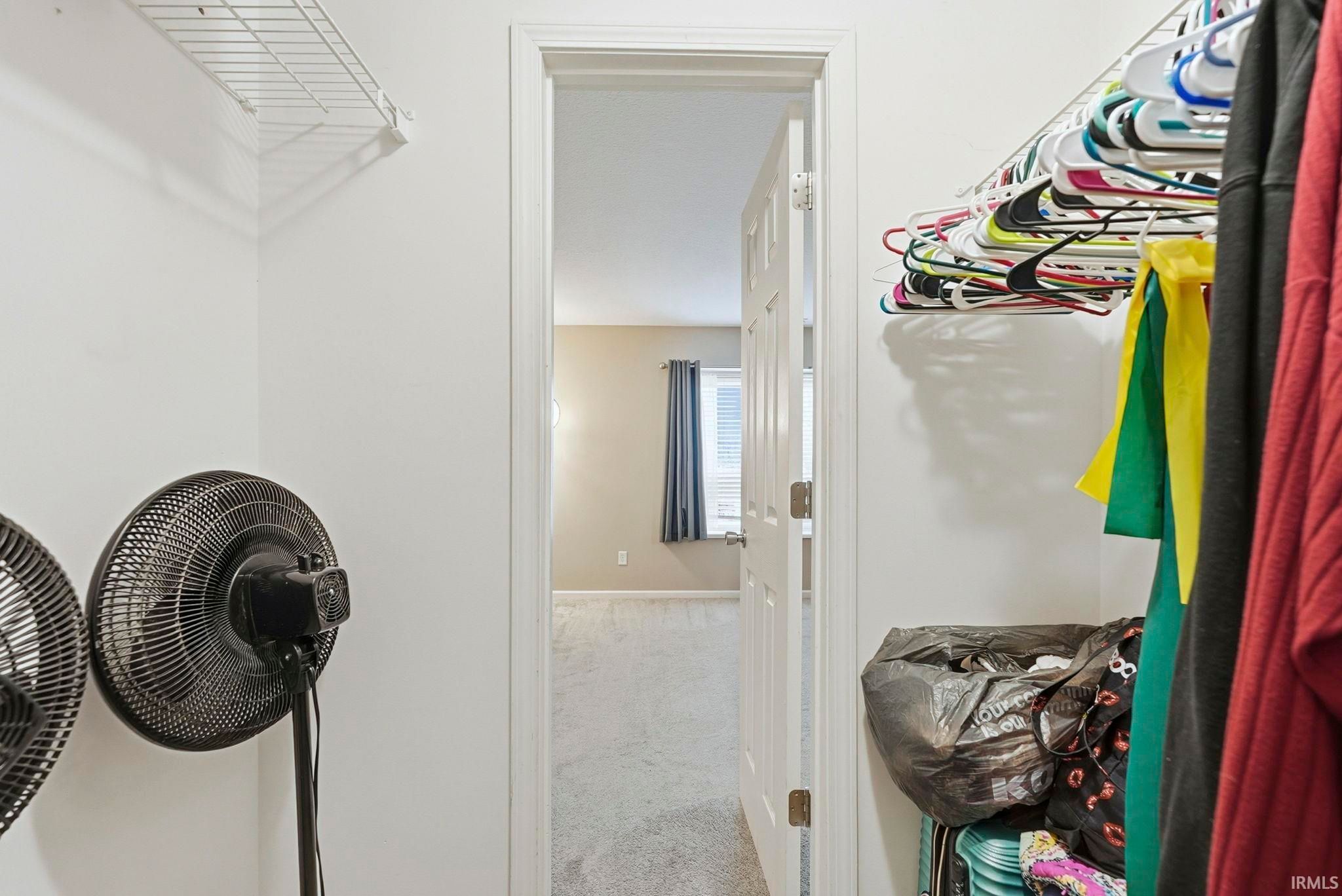 Image of 3942 Olivene Cove