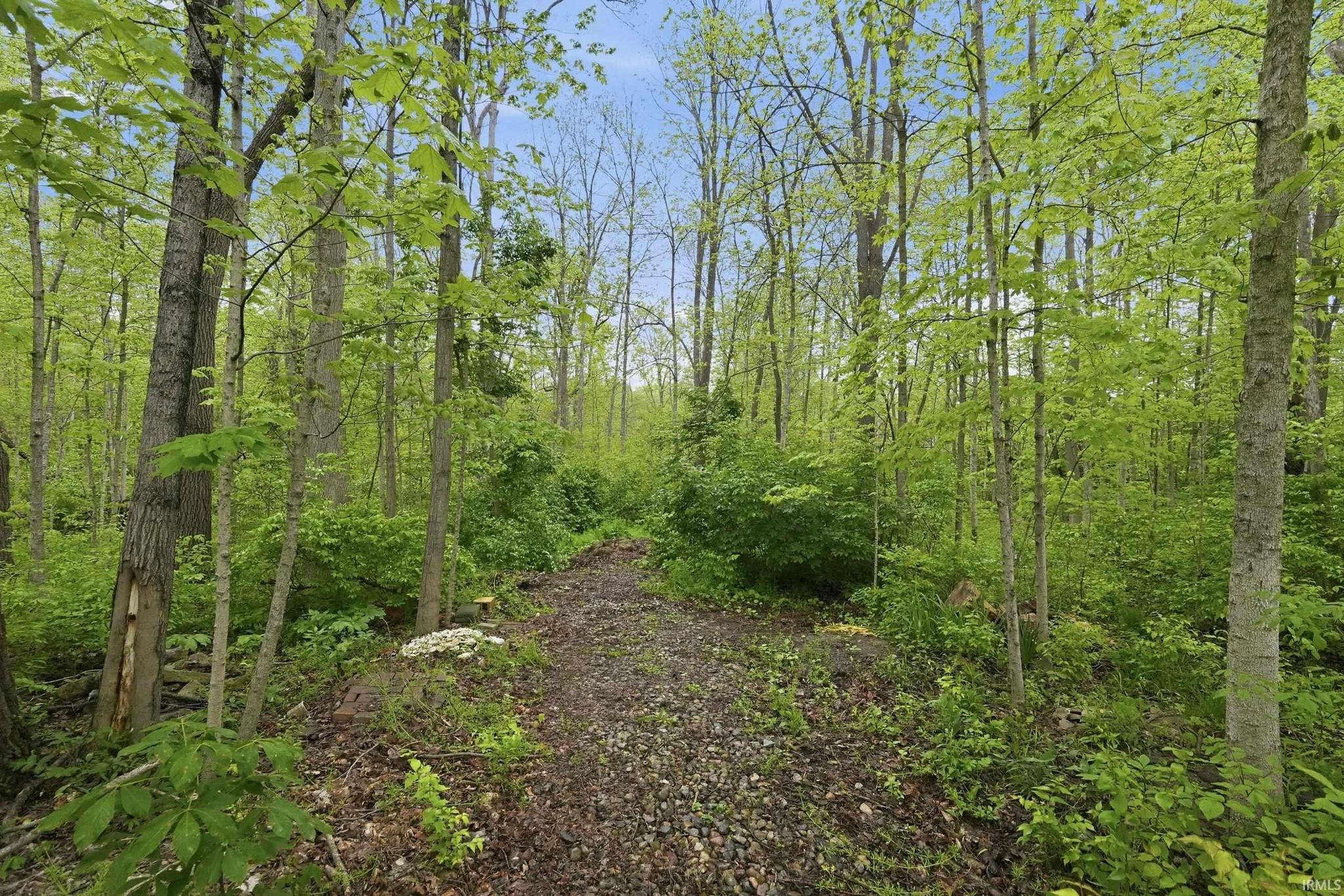 Image of 4627 Merriam Creek Drive