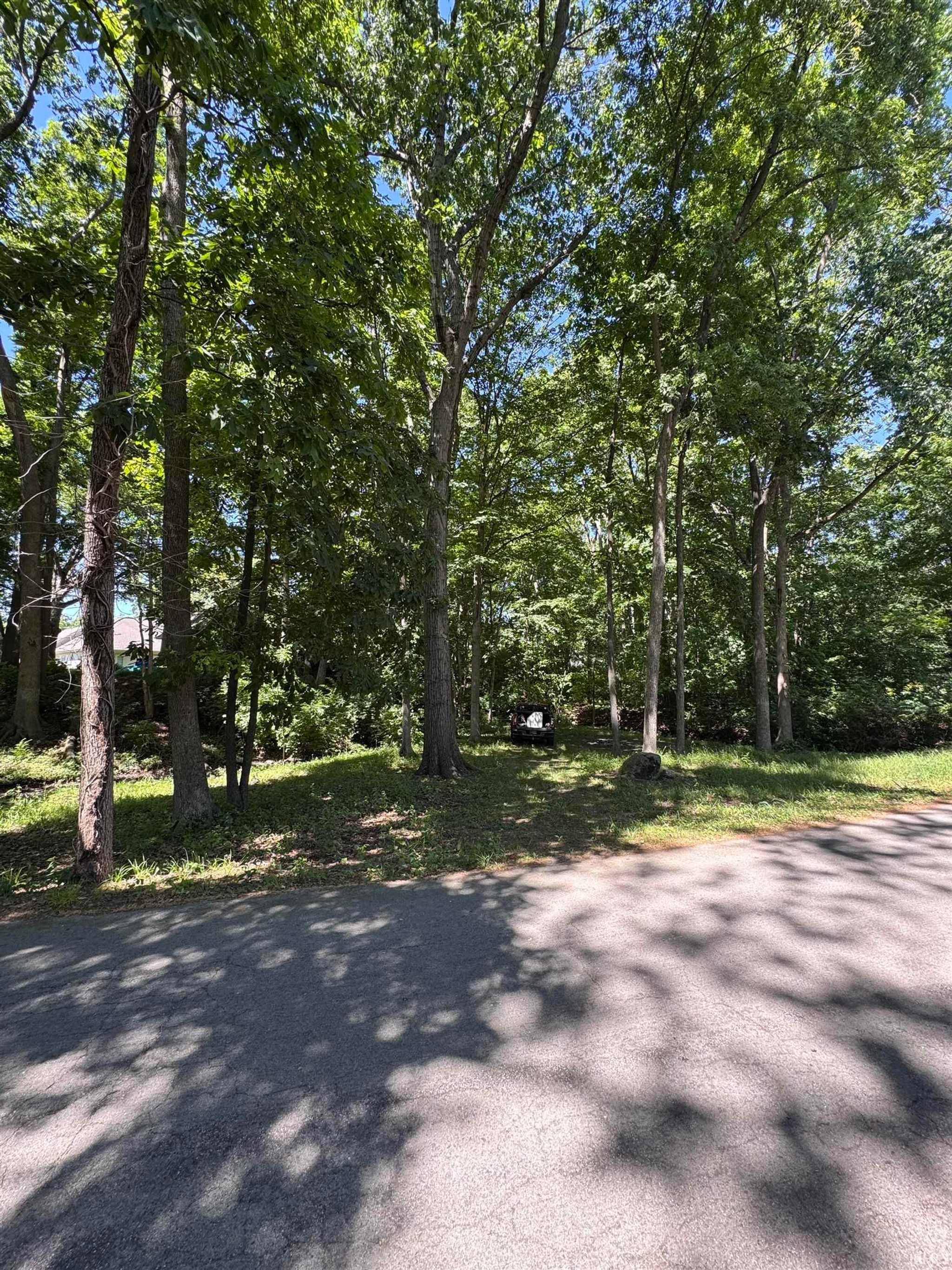 Image of 11624 W Briarwood Drive