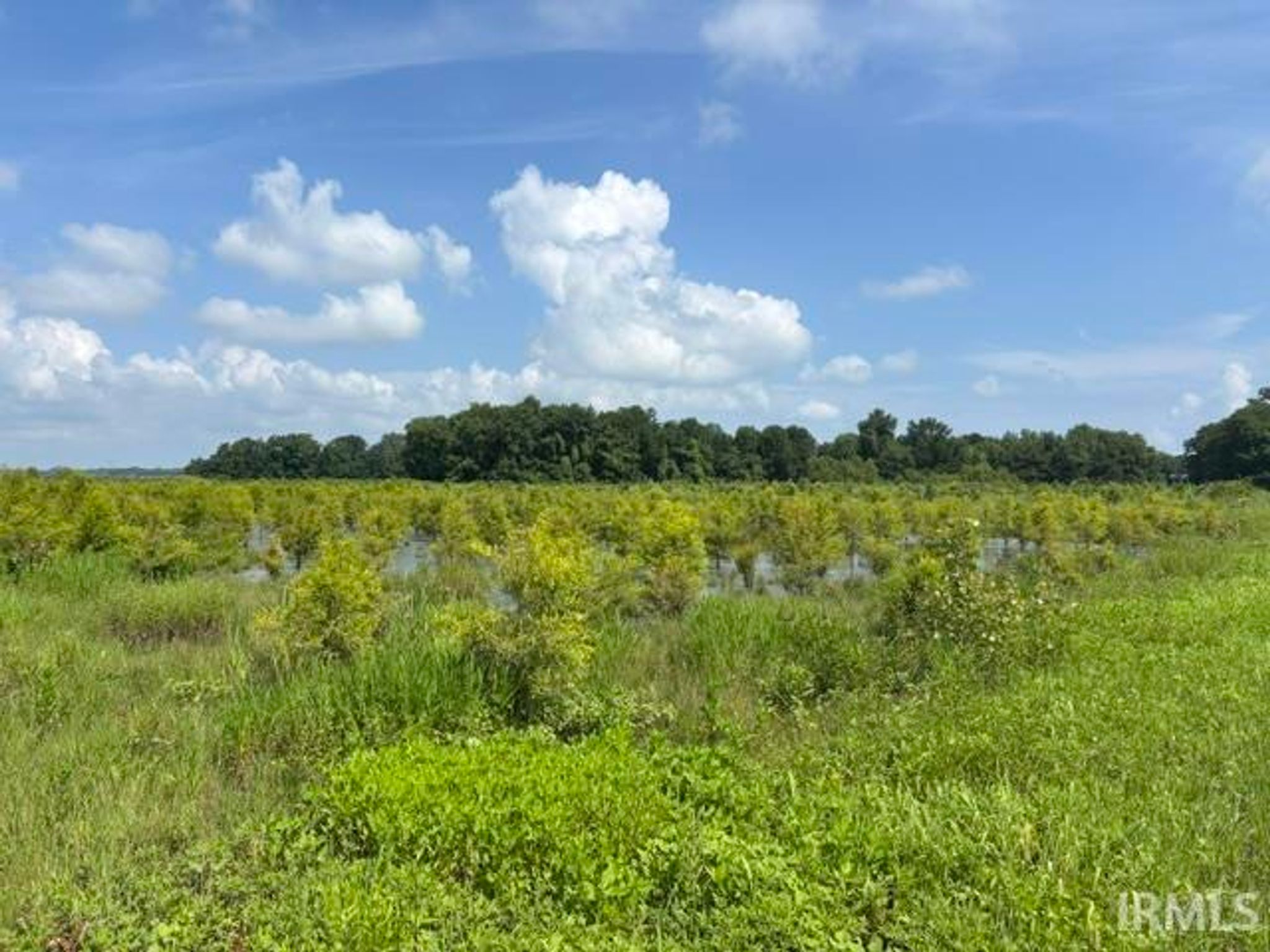 Image of 0 Township Road