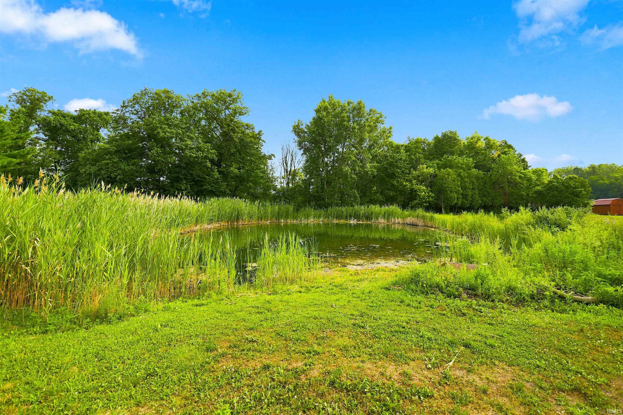 Image of 15807 Winchester Road