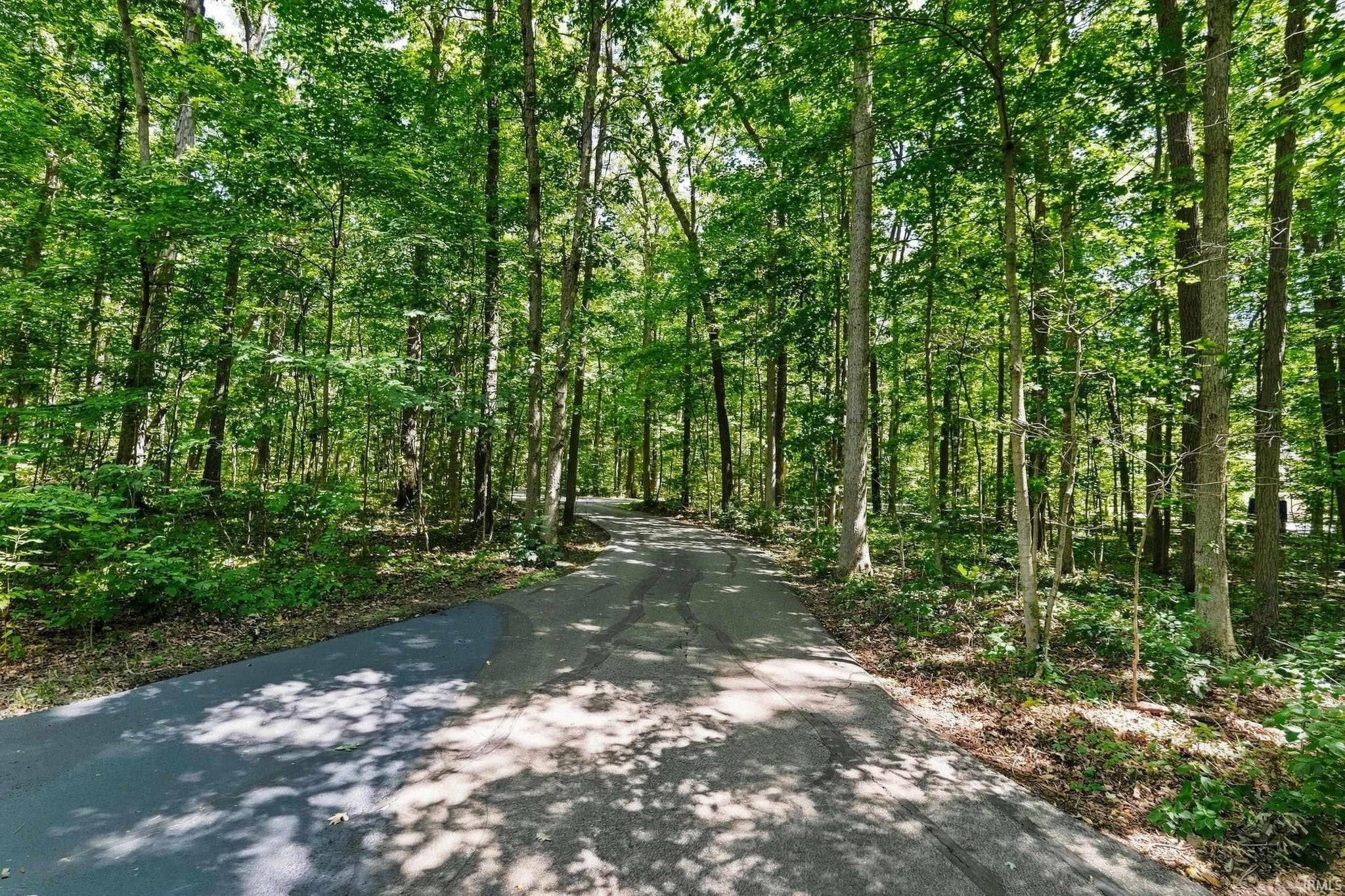 Image of 14733 Coldwater Road