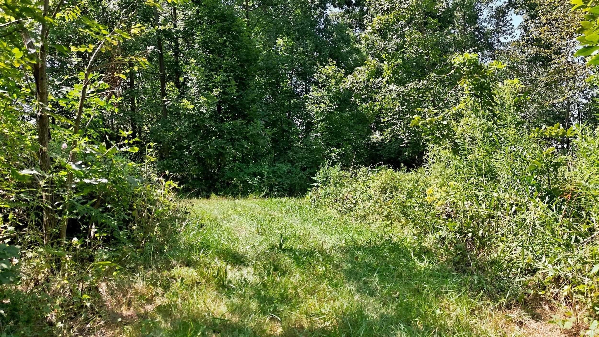 Image of 14733 Coldwater Road