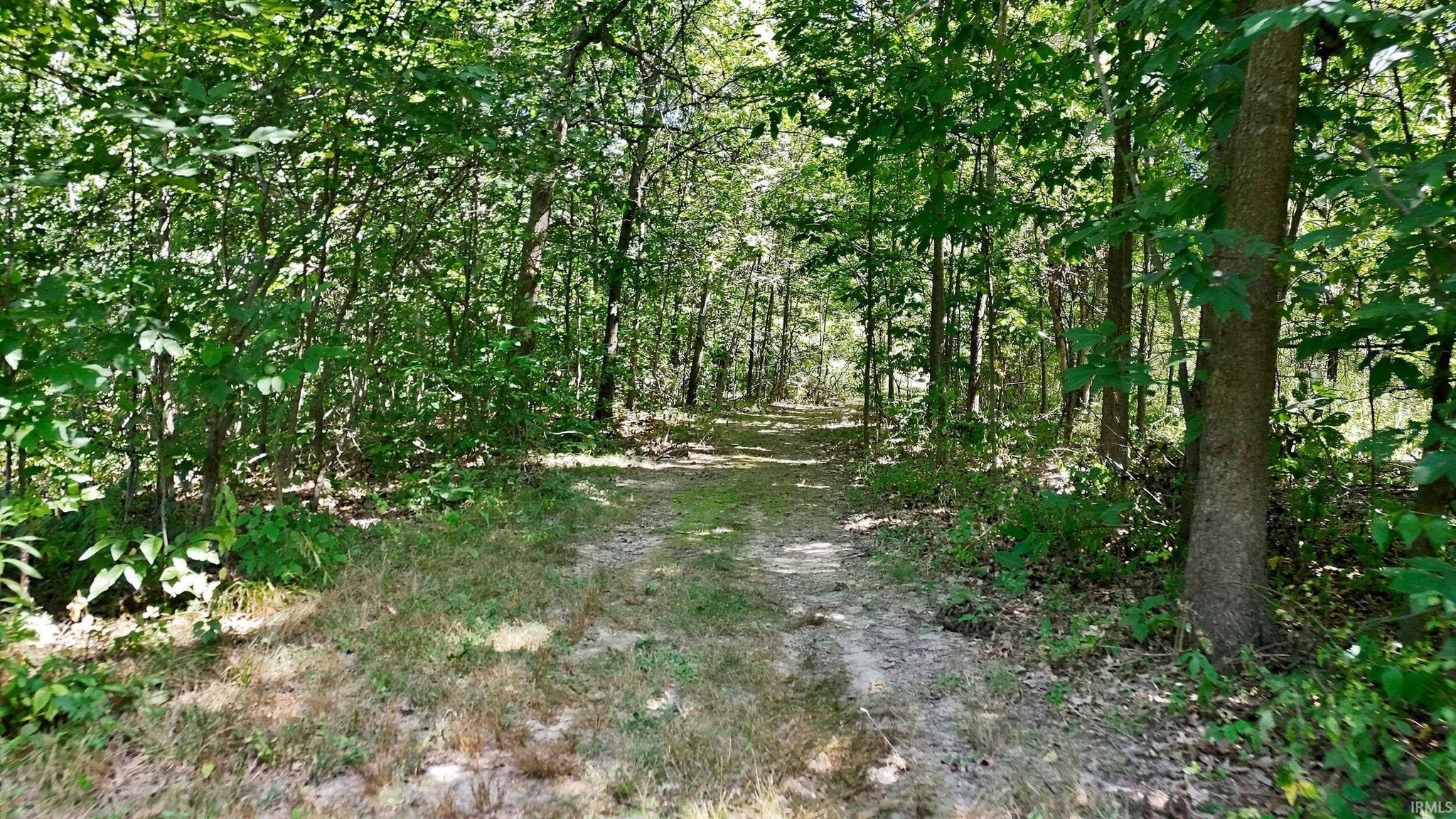 Image of 14733 Coldwater Road